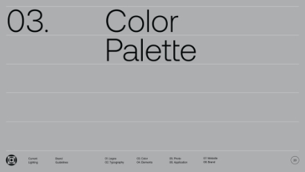 A gray background with large black text reading 03. Color Palette. Smaller text and icons are aligned along the bottom, indicating sections like logo, typography, color, and website.
