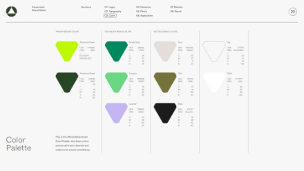 A digital chart displays an official brand color palette with triangles showing nine color swatches, each labeled with names and codes. The swatches include greens, neutrals, light, dark, and accent shades.