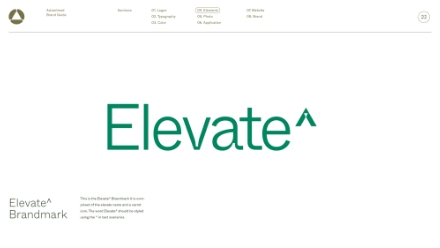 The image shows the word Elevate in large green font with a caret symbol (^) at the end. Below, Elevate^ Brandmark is written and there is a brief description about usage in small text. The design is minimal with a white background.