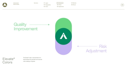 A graphic with a green and purple capsule shape in the center, featuring a white triangle icon. Quality Improvement is labeled in green on the left, Risk Adjustment in purple on the right, and Elevate^ Colors is at the bottom left.