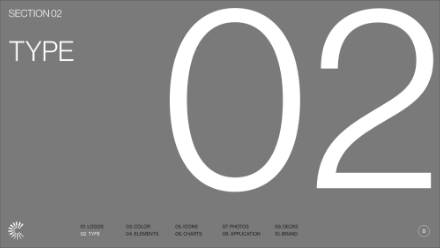 A gray slide with large white text displaying 02 and the word TYPE. Top left reads SECTION 02. Bottom has a navigation bar with numbered sections and small circular icons.