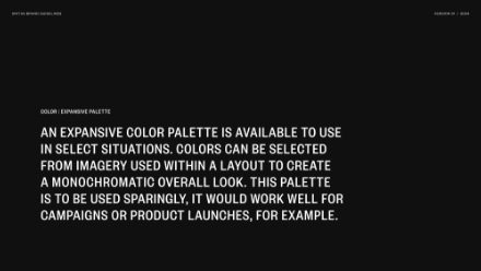 White text on a black background explains that an expansive color palette is available for select situations, suggesting its use for campaigns or product launches and for creating monochromatic looks in layouts.