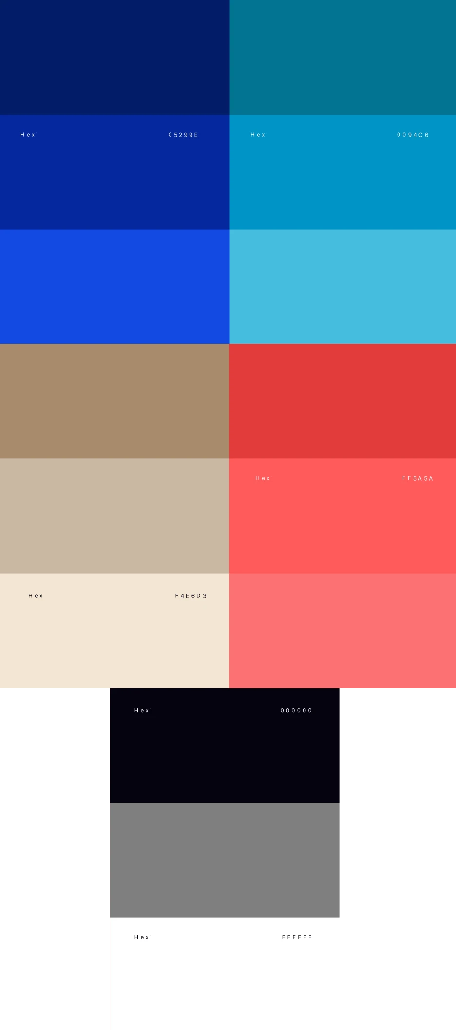 A grid of colored rectangles in pairs: dark blue, teal, bright blue, light blue, tan, coral, beige, pink, navy, gray, and white. Each color block has its hex code written in small white text.