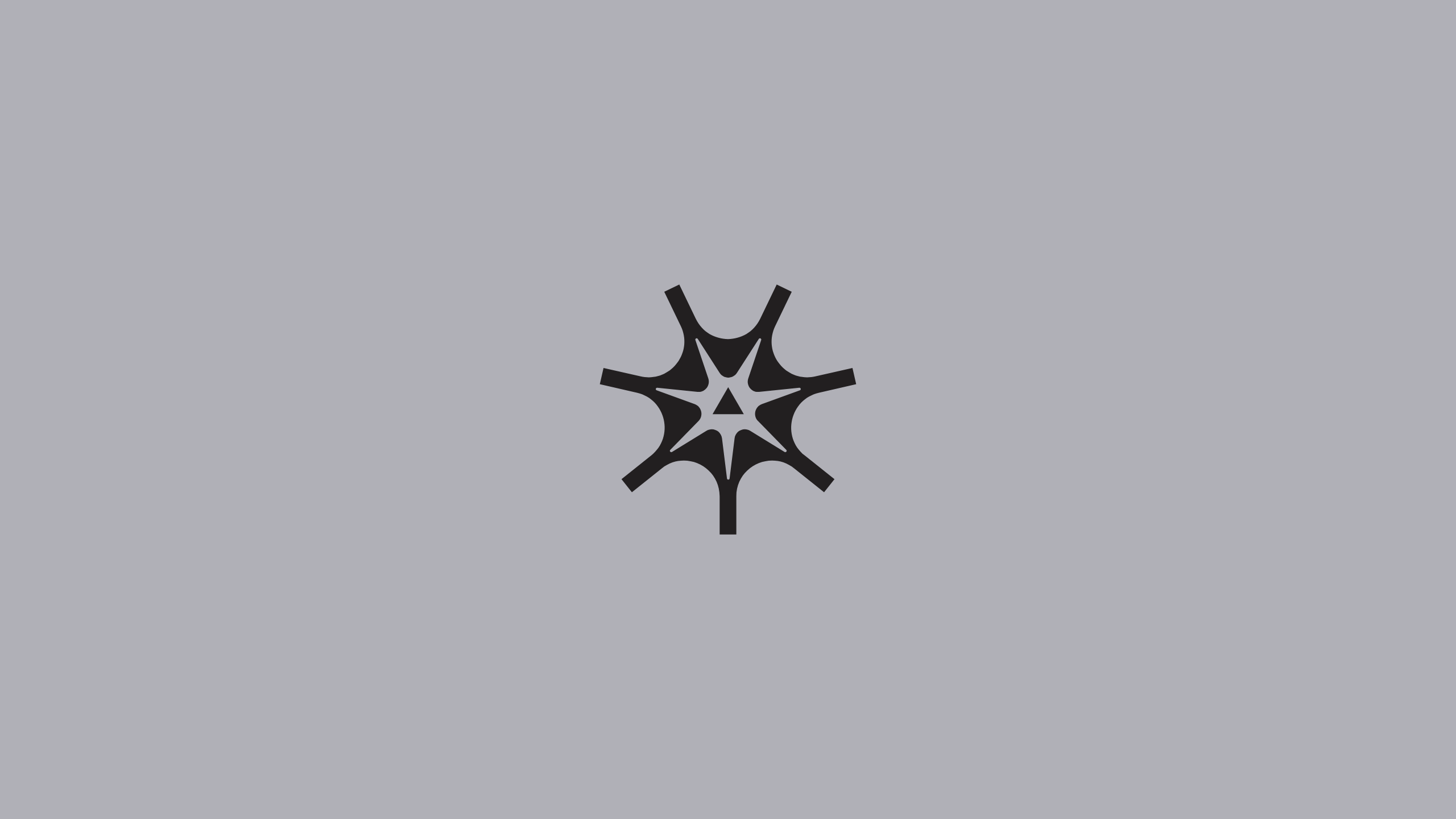 A black abstract geometric shape with star-like arms radiating from a central point, set against a light grey background.