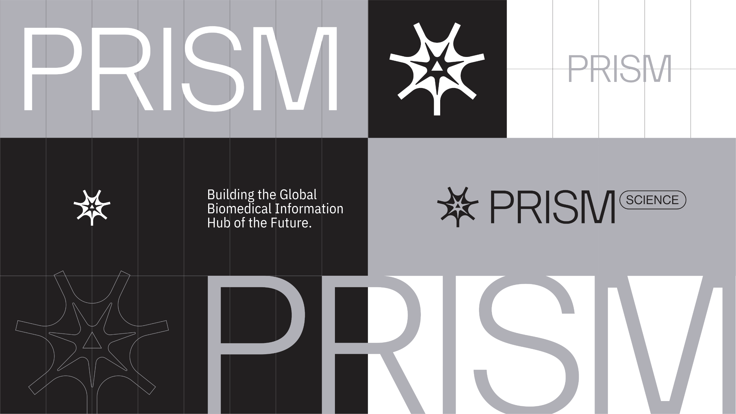 A grayscale graphic with the word PRISM in various sizes and fonts, a star-like geometric logo, and the text Building the Global Biomedical Information Hub of the Future. The word SCIENCE appears in an outlined oval.