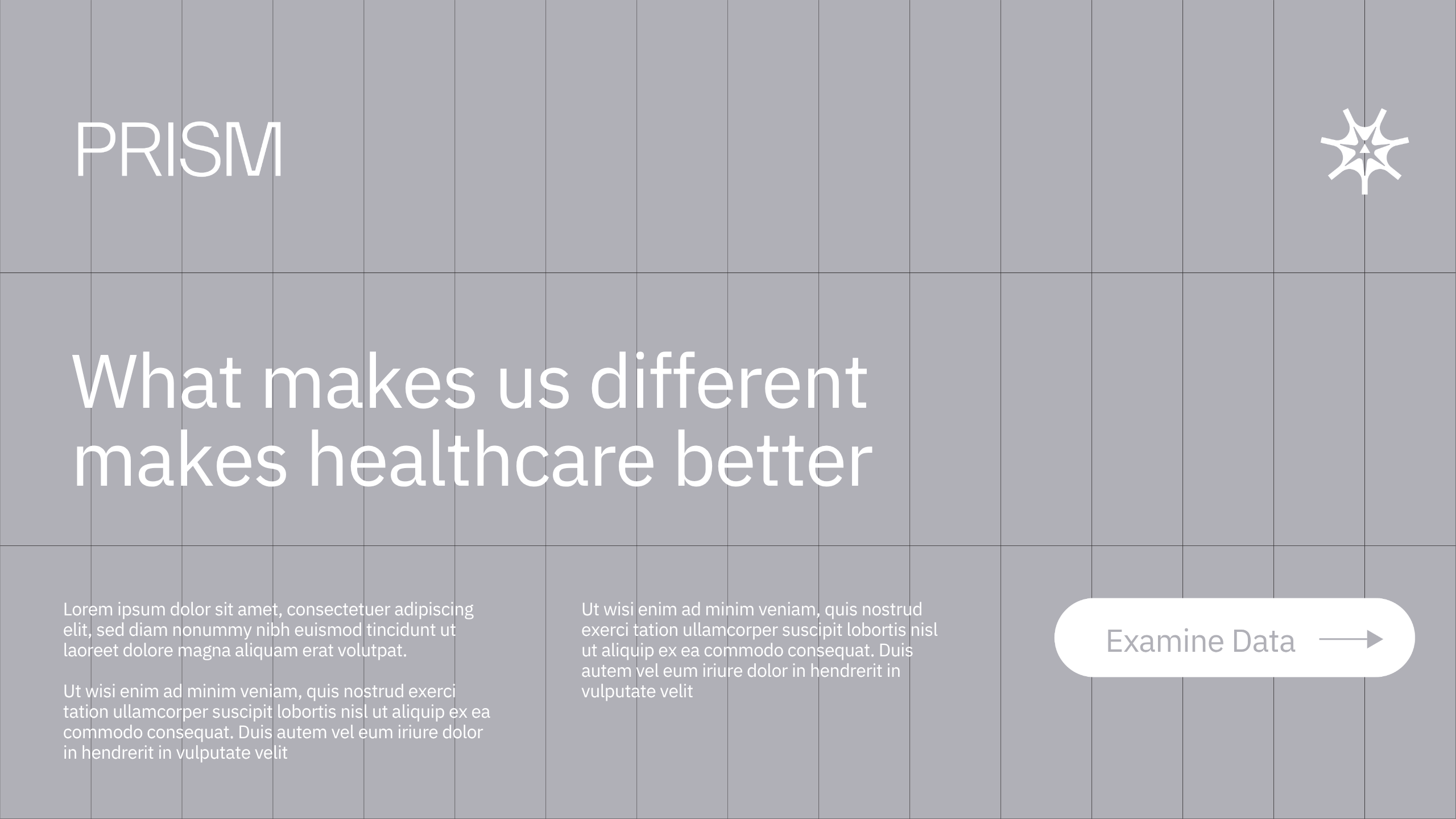 A gray grid background with the text PRISM and What makes us different makes healthcare better. There are placeholder paragraphs and a white button labeled Examine Data → on the lower right. A star logo is in the top right corner.