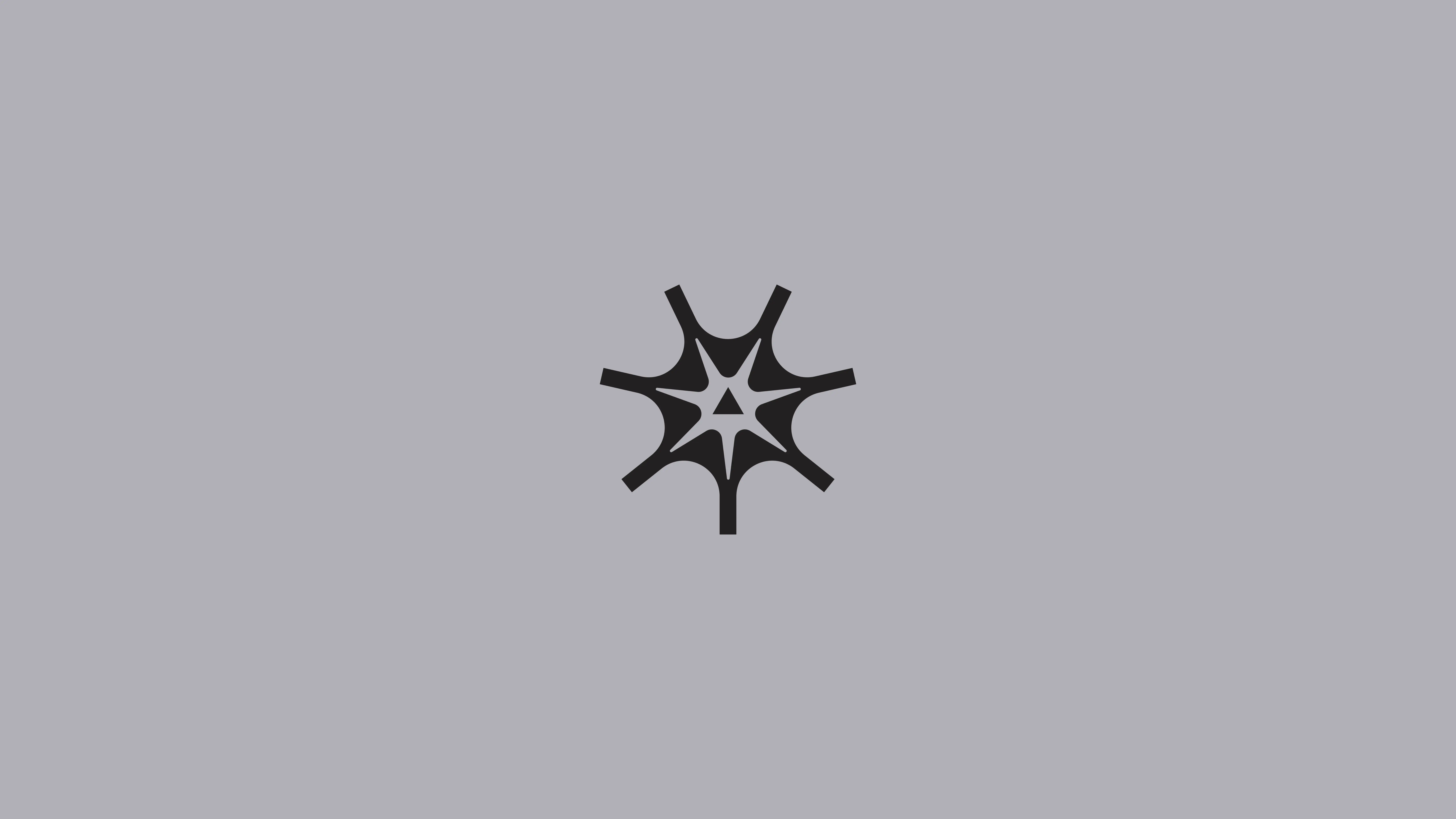 A black geometric starburst shape with eight arms radiating from a central point on a plain light gray background.