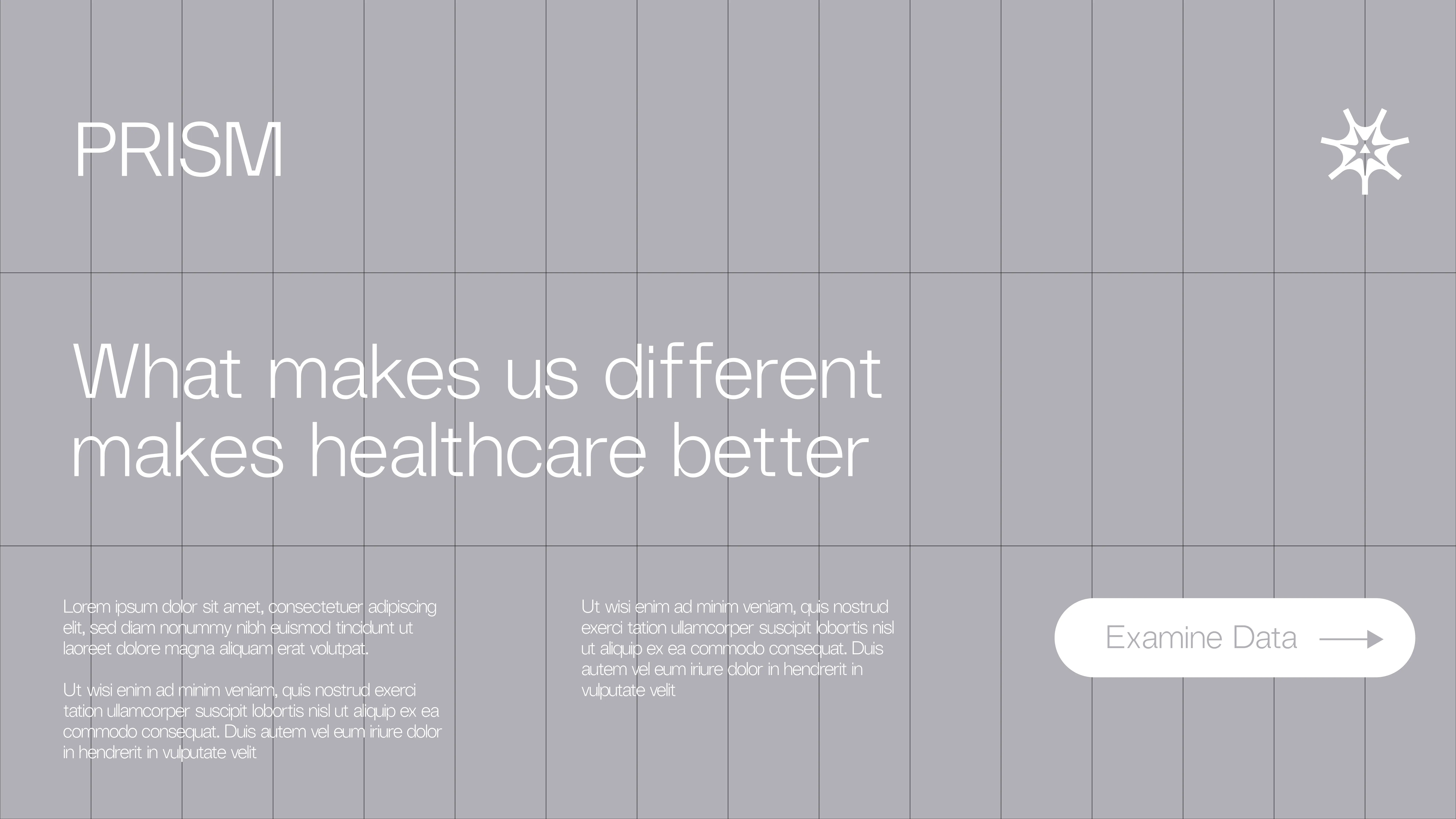 A gray website section with the title PRISM and the text What makes us different makes healthcare better. There is a white button labeled Examine Data on the right and placeholder text blocks below the main heading.