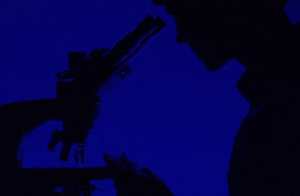 A person in silhouette is examining a slide under a microscope against a dark blue background, highlighting the profile of their face and the microscope.